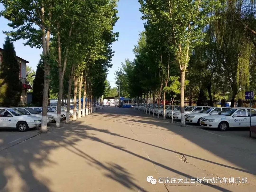 高考之后，“证”事要紧(图5)
